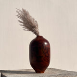 Galileo vase ~ unfolding the intricacies of nature