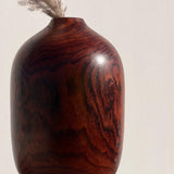 Galileo vase ~ unfolding the intricacies of nature