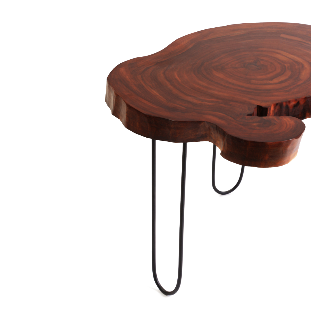 Darkwood Coffee Table