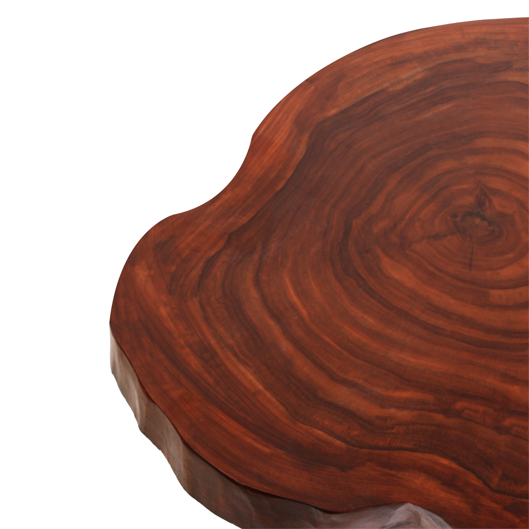 Darkwood Coffee Table