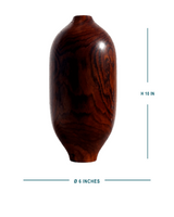 Galileo vase ~ unfolding the intricacies of nature