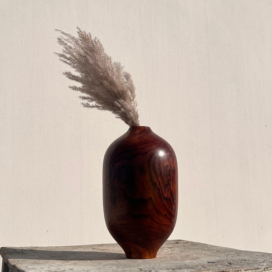 Galileo vase ~ unfolding the intricacies of nature