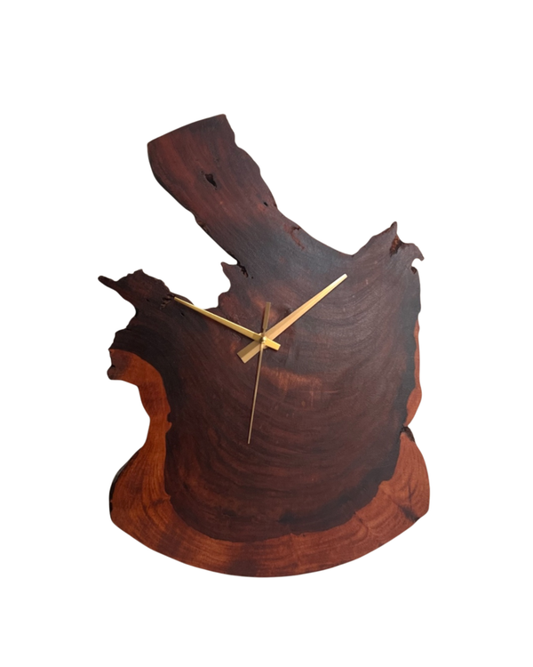 Live Edge Wood Pieces